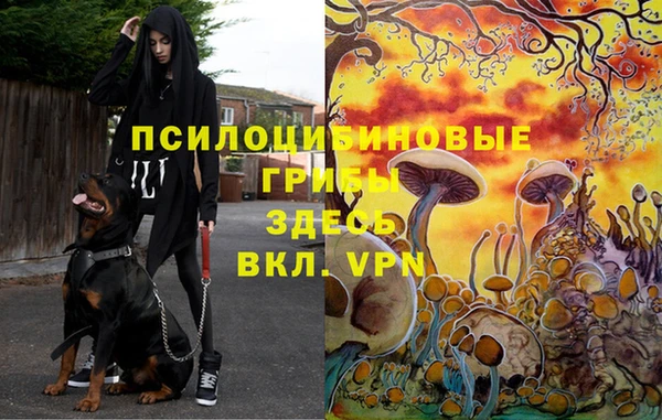 метадон Липки