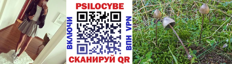 Галлюциногенные грибы MAGIC MUSHROOMS  мега зеркало  Фрязино 