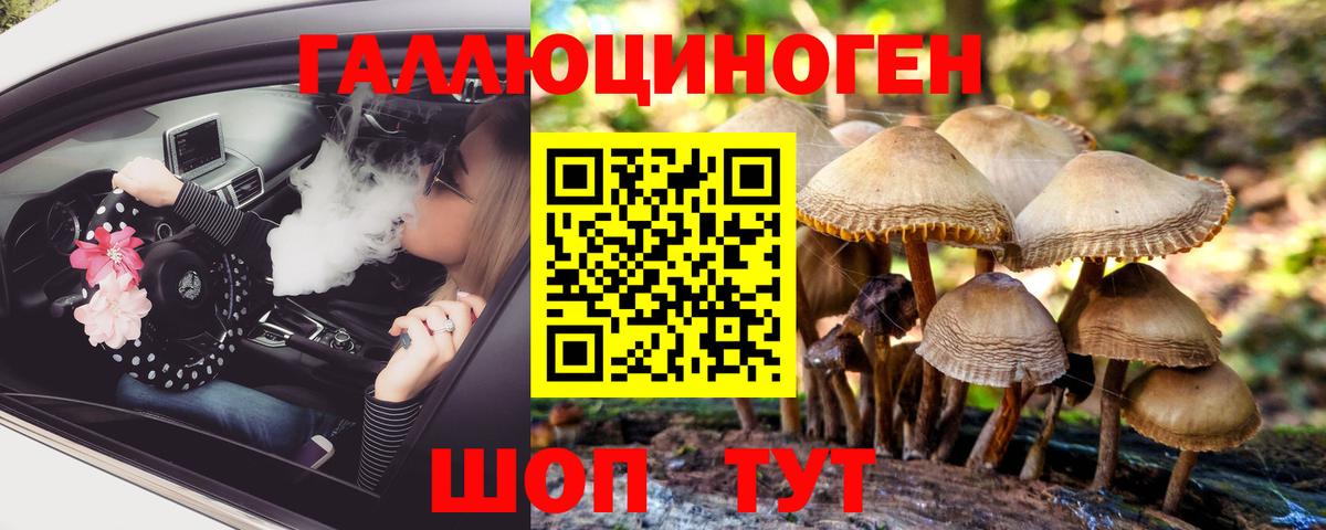 Псилоцибиновые грибы мухоморы  Фрязино  Галлюциногенные грибы прущие грибы 