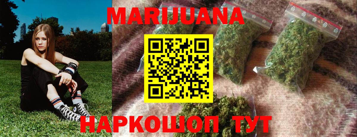 Шишки марихуана планчик  Бошки марихуана White Widow  Бошки марихуана конопля  Фрязино 